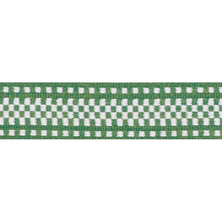 Marta Tape Indoor/Outdoor Green 73655 by Schumacher Trim Indoor/Outdoor: Prints & Wovens - Fabric Carolina -