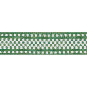 Marta Tape Indoor/Outdoor Green 73655 by Schumacher Trim