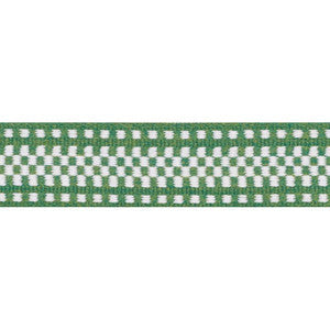 Marta Tape Indoor/Outdoor Green 73655 by Schumacher Trim