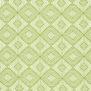 Amazing Maze Indoor/Outdoor Palm 65321 by Schumacher Fabric