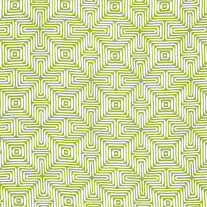 Amazing Maze Indoor/Outdoor Palm 65321 by Schumacher Fabric