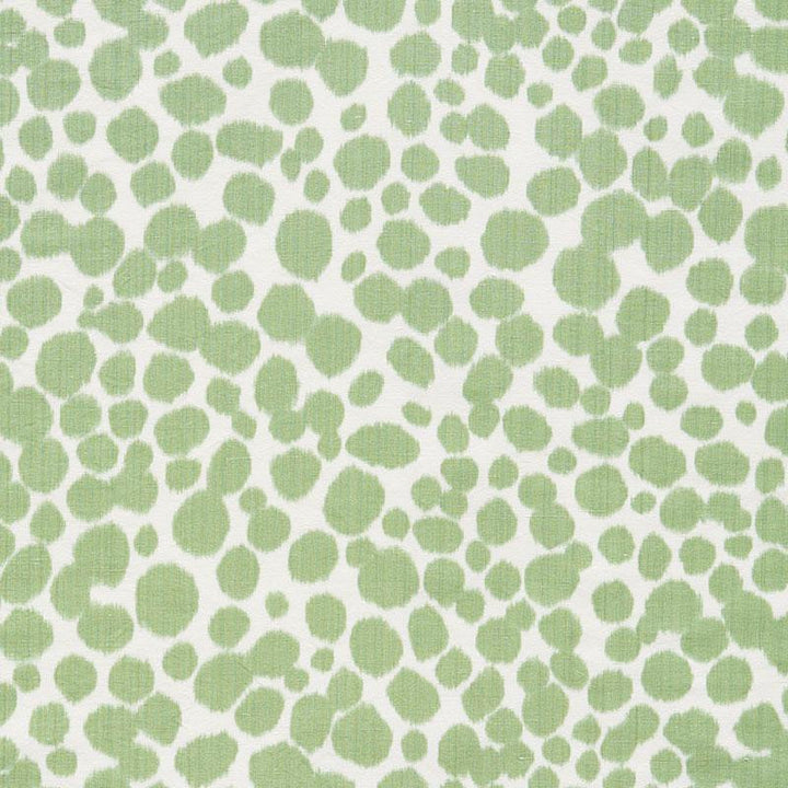 Zoe Green 73411 by Schumacher Fabric Happy Together 36.25" - Fabric Carolina -