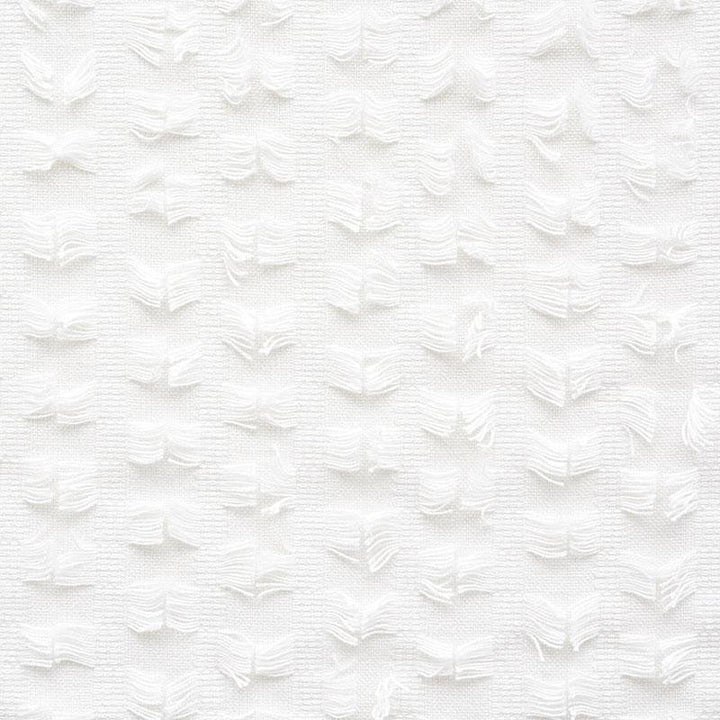 Montego Fringe Snow 73580 by Schumacher Designer Fabric Happy Together 3.5" - Swanky Fabrics -