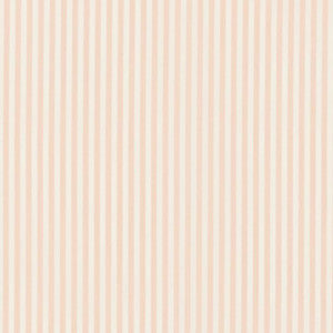Brigitte Stripe Blush 71346 by Schumacher Fabric