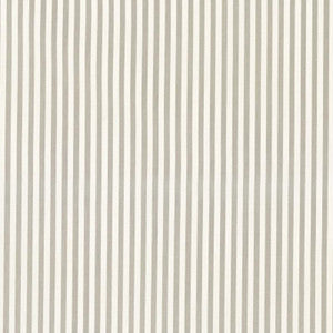 Brigitte Stripe Grey 71342 by Schumacher Fabric