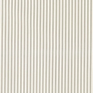Brigitte Stripe Grey 71342 by Schumacher Fabric