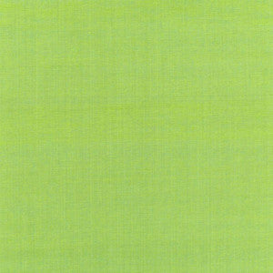 Beckford Cotton Plain Kiwi 68782 by Schumacher Fabric
