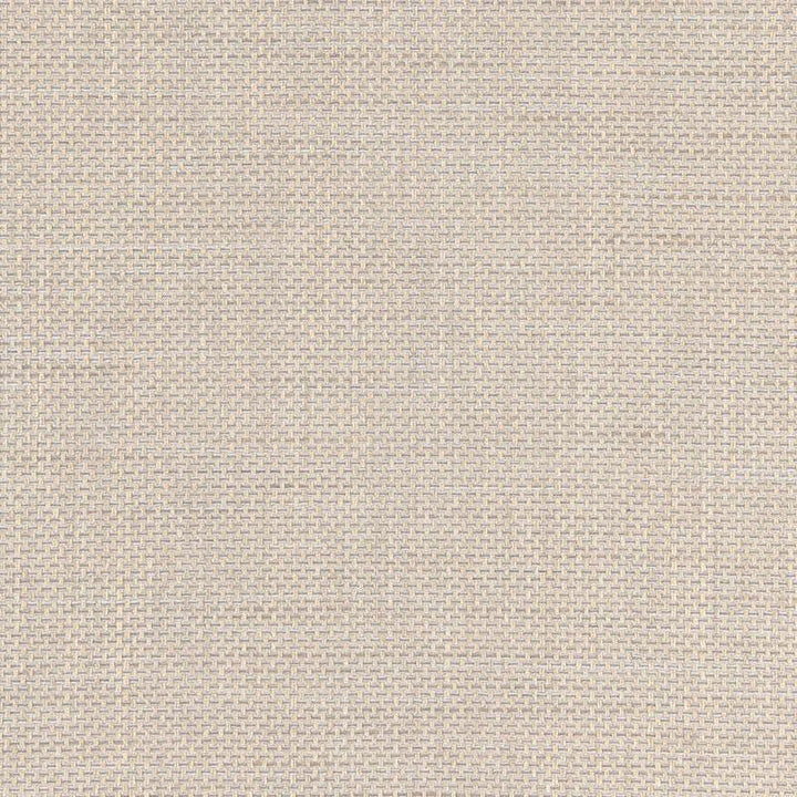 Chatelet Weave Indoor/Outdoor Zinc 66470 by Schumacher Designer Fabric Steel Magnolia - Swanky Fabrics -