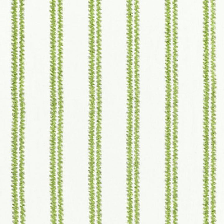 Paloma Embroidery Grass 68791 by Schumacher Designer Fabric Chroma 4.25" - Swanky Fabrics -