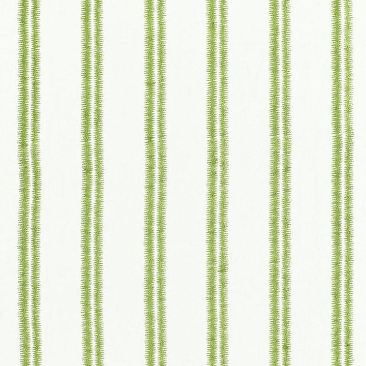 Paloma Embroidery Grass 68791 by Schumacher Fabric Chroma 4.25" - Fabric Carolina -