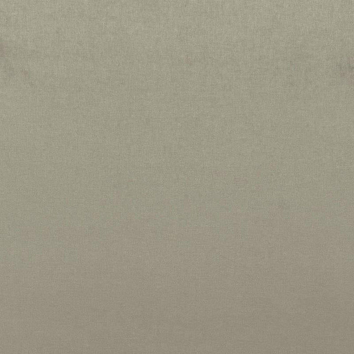 Sophia Velvet Pebble 68159 by Schumacher Designer Fabric Perfect Basics: Velvet - Swanky Fabrics -