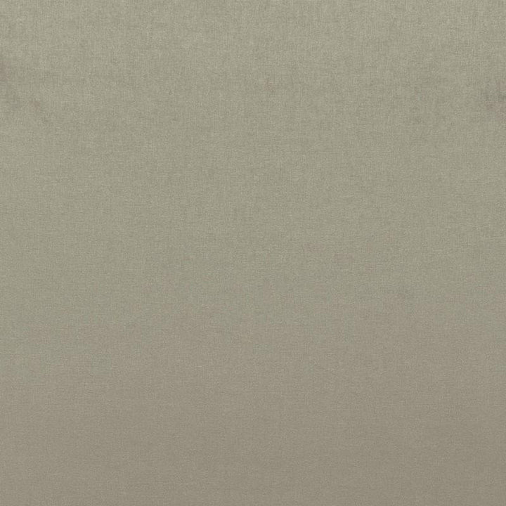 Sophia Velvet Pebble 68159 by Schumacher Fabric Perfect Basics: Velvet - Fabric Carolina -