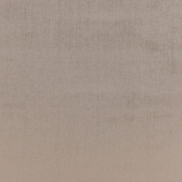 Sophia Velvet Nickel 68163 by Schumacher Fabric Perfect Basics: Velvet - Fabric Carolina -
