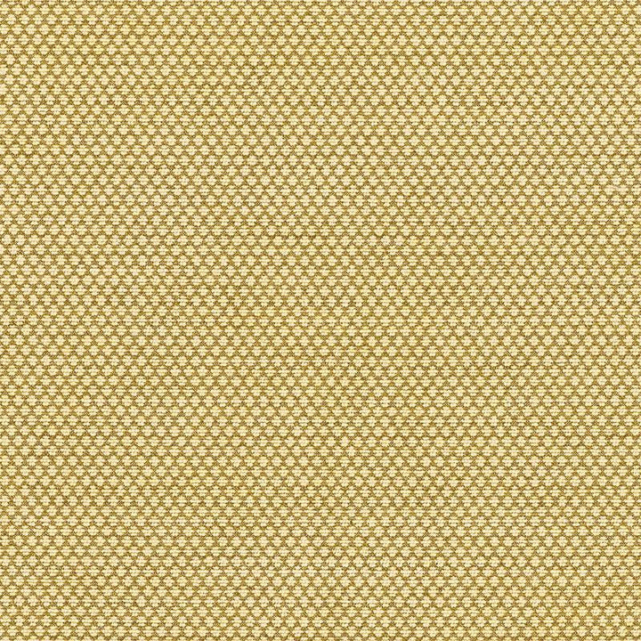 Sorano Chenille Sage 62583 by Schumacher Fabric Chroma - Fabric Carolina -