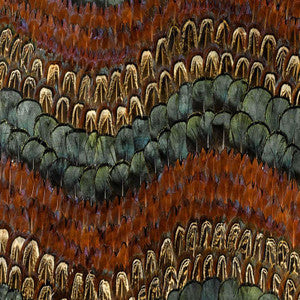 Biscayne Peacock & Pheasant 5003880 by Schumacher Wallpaper