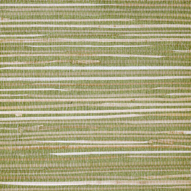 2073 32W6061 by JF Wallpaper SHANGHAI GRASSCLOTH 100% Wallpaper CHINA (see sample) Horizontal: N/A and Vertical: N/A 36.00 - Fabric Carolina -