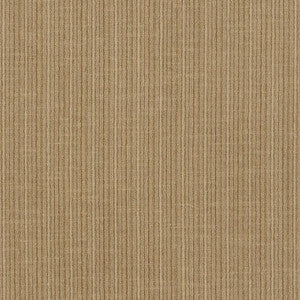 Antique Strie Velvet Reed 69761 by Schumacher Fabric