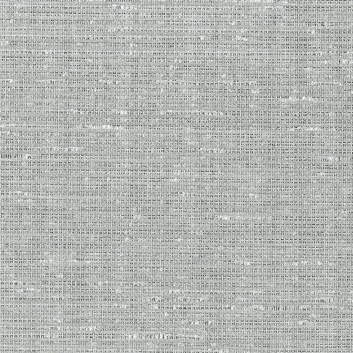 Anodized Raffia Platinum 5007780 by Schumacher Designer Wallpaper Quiet Beauty - Swanky Fabrics -