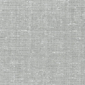 Anodized Raffia Platinum 5007780 by Schumacher Wallpaper