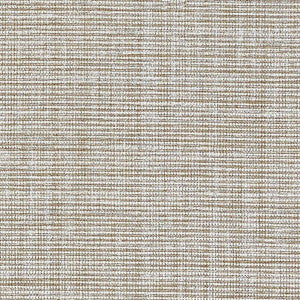 Anodized Raffia Warm Silver 5007781 by Schumacher Wallpaper