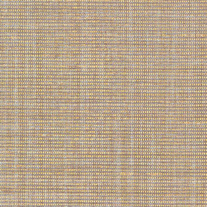 Anodized Raffia Gold 5007782 by Schumacher Wallpaper