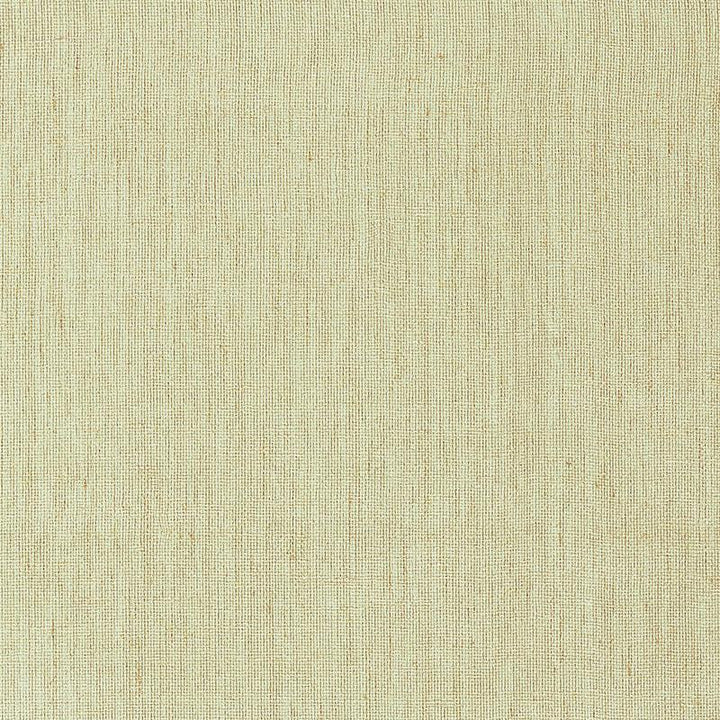 Gilded Linen Celadon & Gold 5007843 by Schumacher Wallpaper Quiet Beauty - Fabric Carolina -