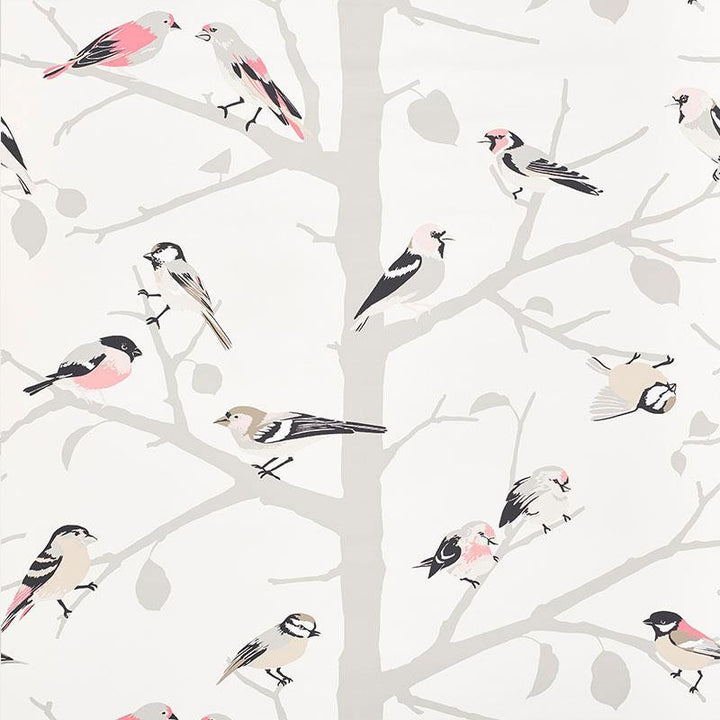 A-Twitter Blush 5005032 by Schumacher Wallpaper Modern Nature 27.0" - Fabric Carolina -