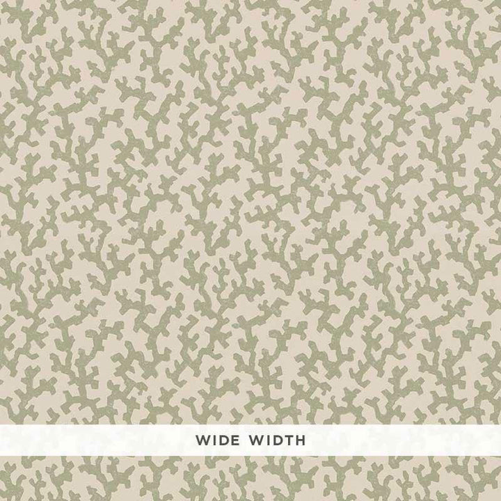 Folly Sage 5008003 by Schumacher Wallpaper Veere Grenney 4.38" - Fabric Carolina -