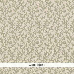 Folly Sage 5008003 by Schumacher Wallpaper