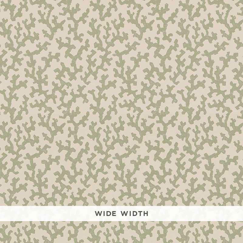 Folly Sage 5008003 by Schumacher Designer Wallpaper Veere Grenney 4.38" - Swanky Fabrics -