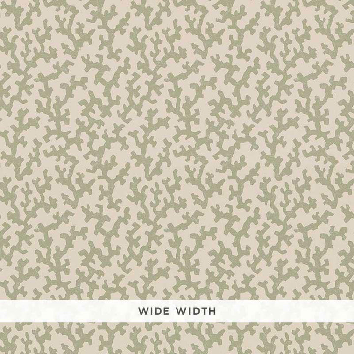 Folly Sage 5008003 by Schumacher Designer Wallpaper Veere Grenney 4.38" - Swanky Fabrics -