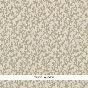 Folly Sage 5008003 by Schumacher Wallpaper