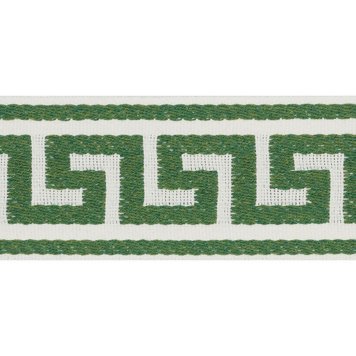 Ganton Tape Indoor/Outdoor Green 72393 by Schumacher Trim Indoor-Outdoor Trims - Fabric Carolina -