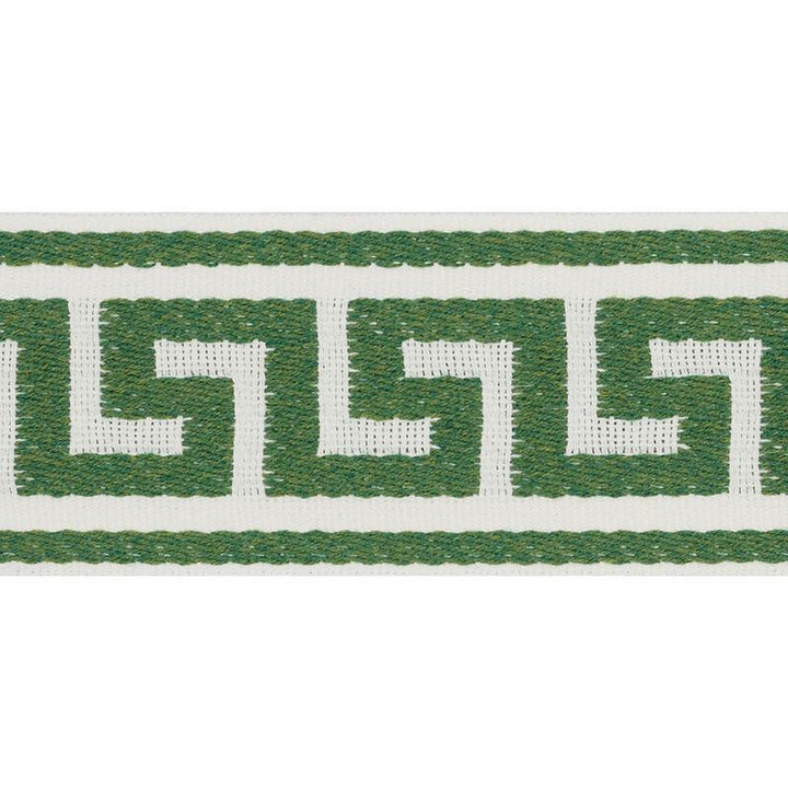Ganton Tape Indoor/Outdoor Green 72393 by Schumacher Designer Trim Indoor-Outdoor Trims - Swanky Fabrics -