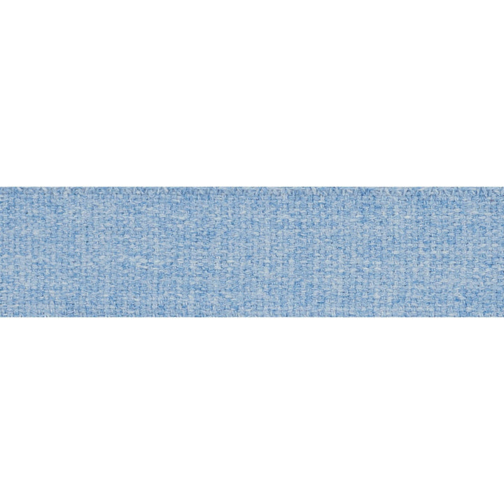 Ashwood Tape Indoor/Outdoor Blue 72412 by Schumacher Trim Indoor-Outdoor Trims - Fabric Carolina -