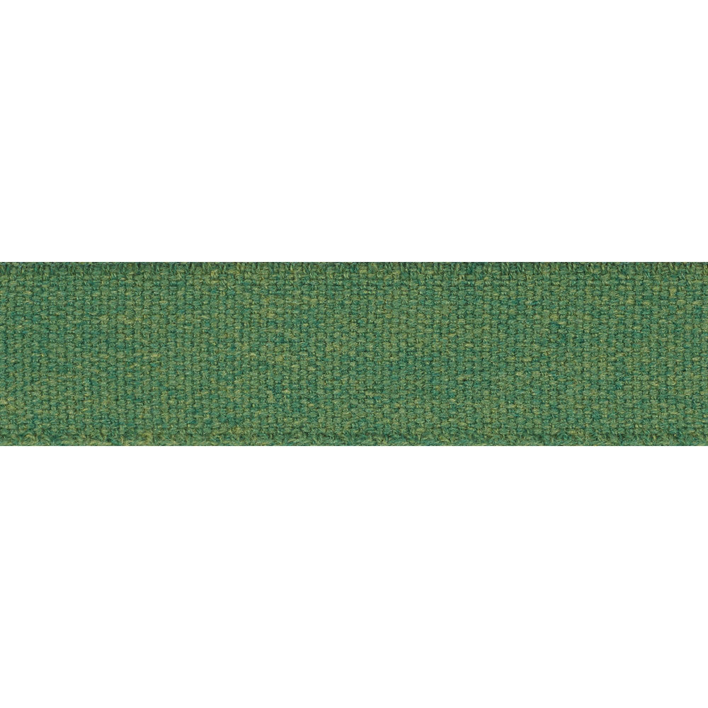 Ashwood Tape Indoor/Outdoor Green 72414 by Schumacher Trim Indoor-Outdoor Trims - Fabric Carolina -