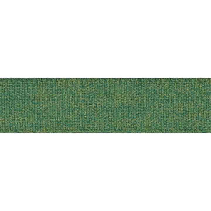Ashwood Tape Indoor/Outdoor Green 72414 by Schumacher Trim Indoor-Outdoor Trims - Fabric Carolina -