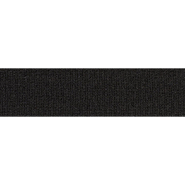 Ashwood Tape Indoor/Outdoor Black 72416 by Schumacher Designer Trim Indoor-Outdoor Trims - Swanky Fabrics -