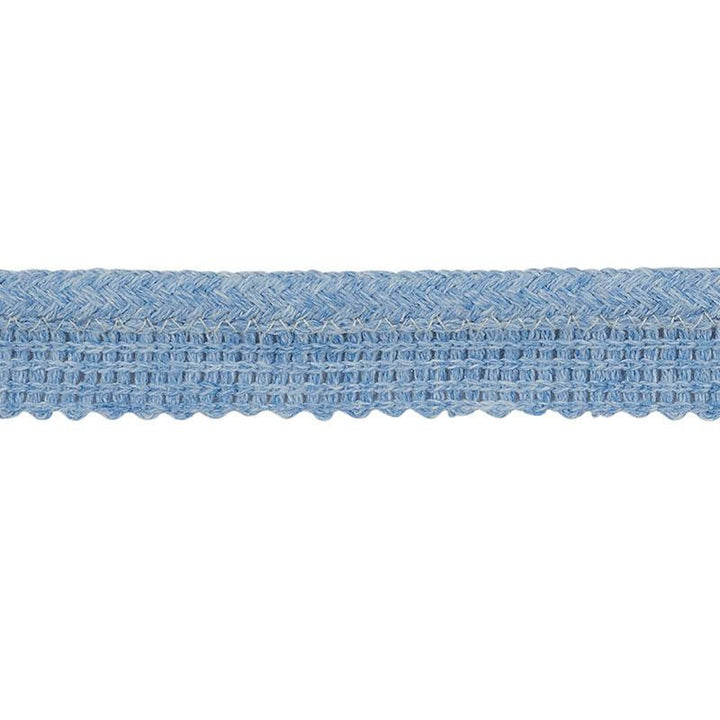 Eubie Lip Cord Indoor/Outdoor Blue 72422 by Schumacher Trim Indoor-Outdoor Trims - Fabric Carolina -