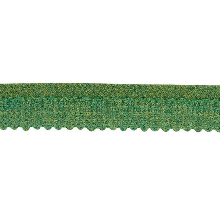 Eubie Lip Cord Indoor/Outdoor Green 72424 by Schumacher Designer Trim Indoor-Outdoor Trims - Swanky Fabrics -
