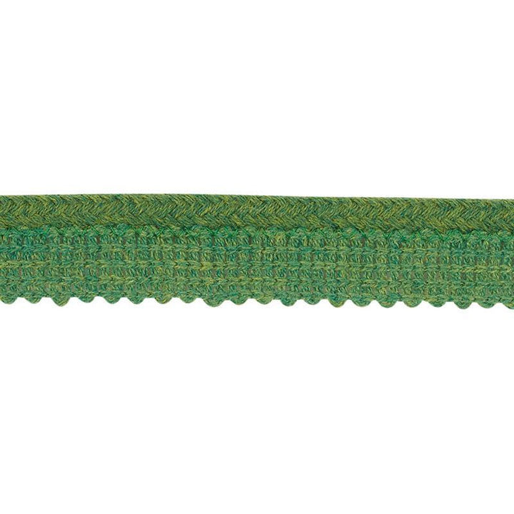 Eubie Lip Cord Indoor/Outdoor Green 72424 by Schumacher Trim Indoor-Outdoor Trims - Fabric Carolina -