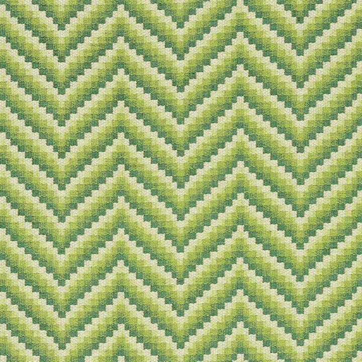 Wilder Grass 69800 by Schumacher Fabric Essentials: Small Scale Upholstery Fabrics 6.88" - Fabric Carolina -