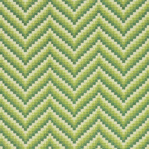 Wilder Grass 69800 by Schumacher Fabric