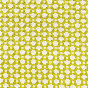 Betwixt Chartreuse / Ivory 65680 by Schumacher Fabric