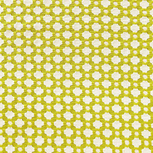 Betwixt Chartreuse / Ivory 65680 by Schumacher Fabric