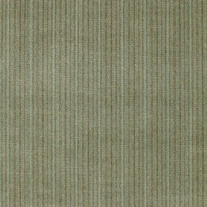 Antique Strie Velvet Balsam 64714 by Schumacher Fabric