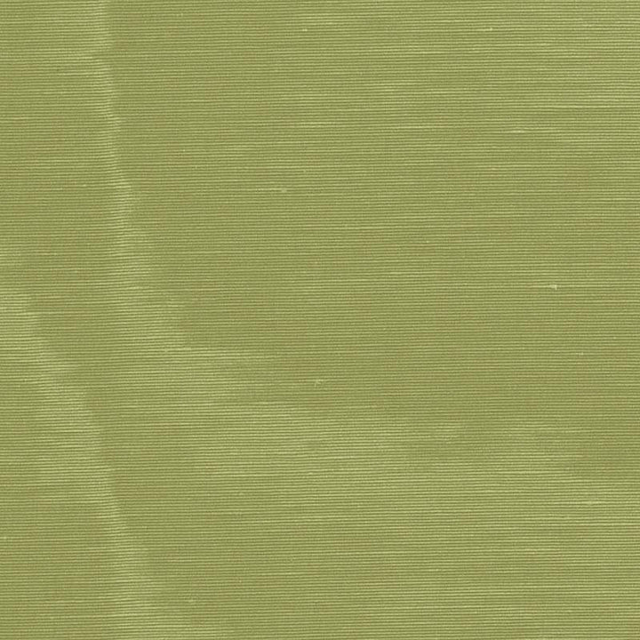 Incomparable Moir Olive 70409 by Schumacher Fabric Perfect Basics: Moir - Fabric Carolina -