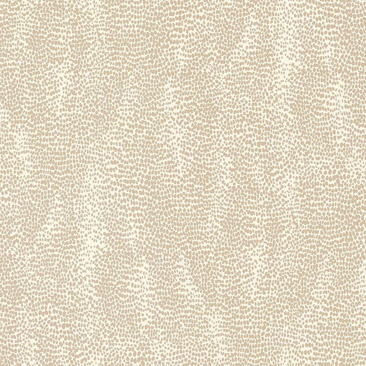 Drizzle Natural 5007570 by Schumacher Wallpaper Drawn From Nature 27.0" - Fabric Carolina -