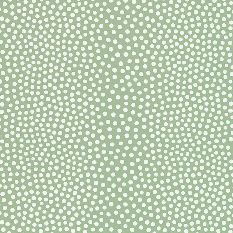 Raindots Spring 5007503 by Schumacher Wallpaper Drawn From Nature 9.0" - Fabric Carolina -