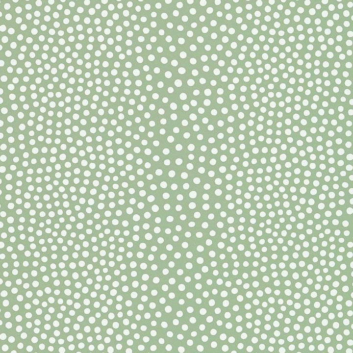 Raindots Spring 5007503 by Schumacher Wallpaper Drawn From Nature 9.0" - Fabric Carolina -